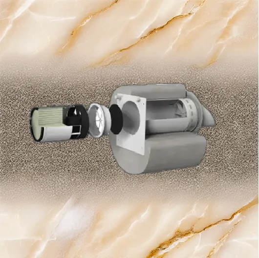 Solución de humedad en interior